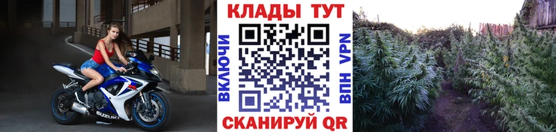 Где можно купить наркотики Арзамас МАРИХУАНА Мефедрон A-PVP ГАШИШ