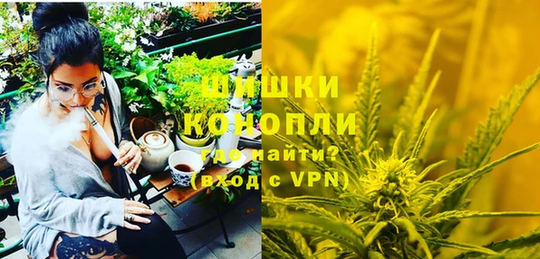 гидра Гусев