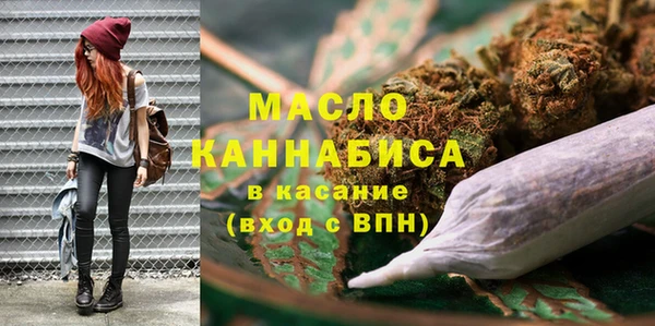 гидра Гусев