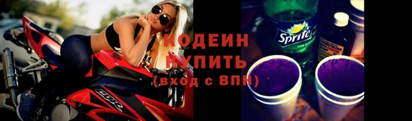 гидра Гусев