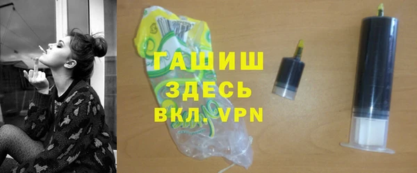 гидра Гусев