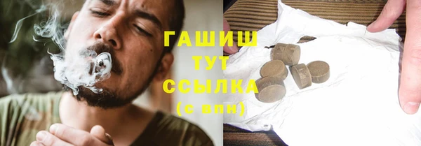 гидра Гусев