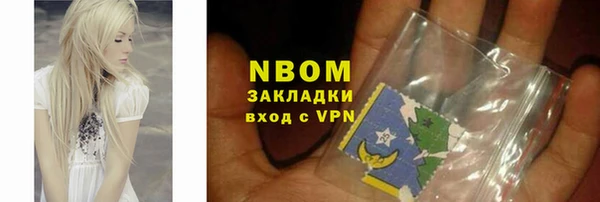 гидра Гусев