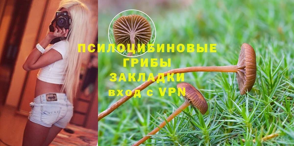 бошки Гусь-Хрустальный