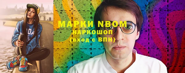 гидра Гусев