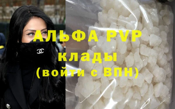 гидра Гусев