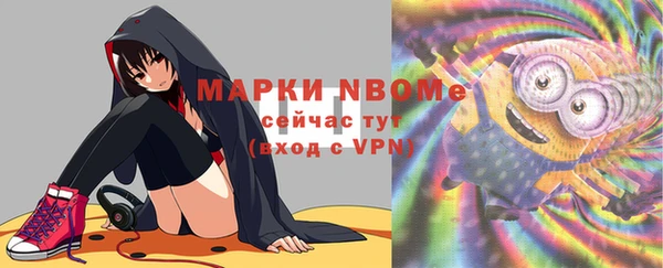 гидра Гусев