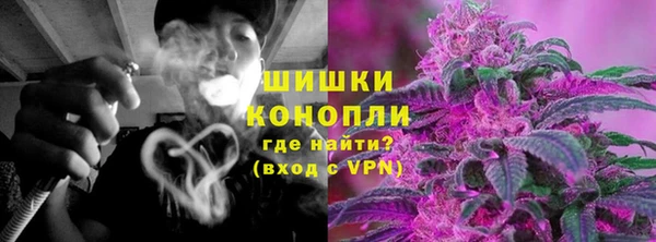 гидра Гусев
