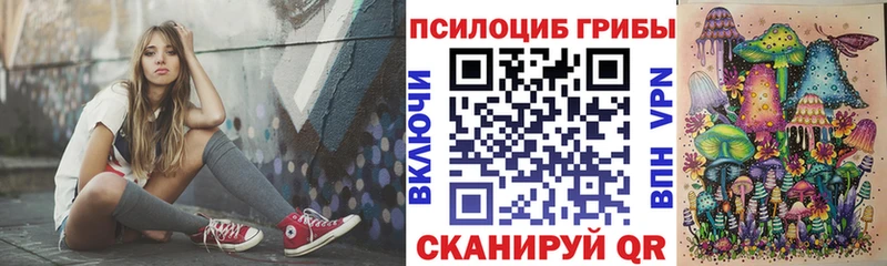 Псилоцибиновые грибы Psilocybe  мега маркетплейс  Арзамас 